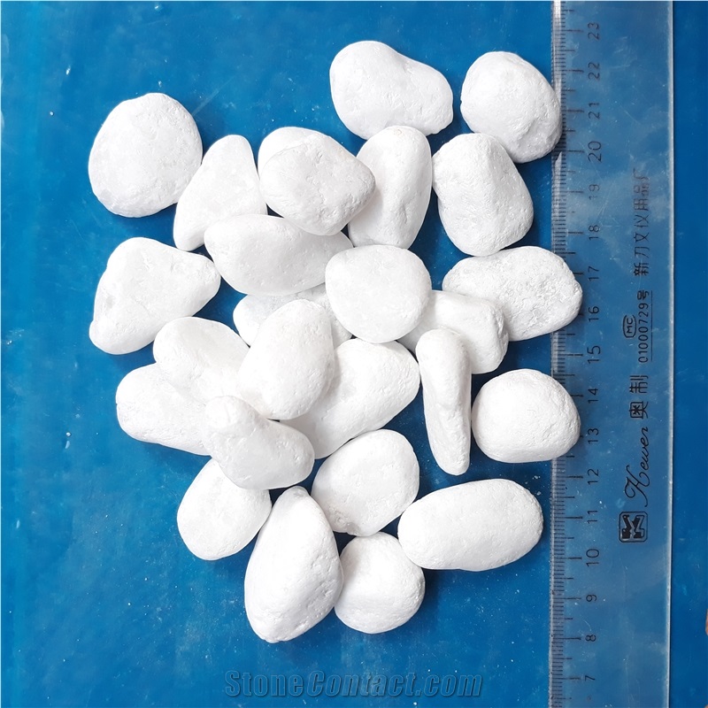 Snow White Pebbles for Garden and Pool Landscape