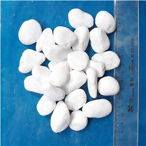 Snow White Pebbles for Garden and Pool Landscape
