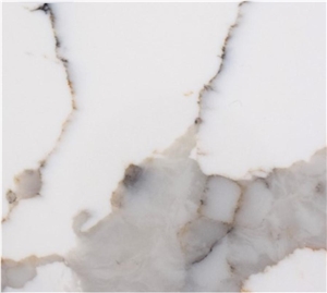 Fish Belly White Calacatta Sample Slab