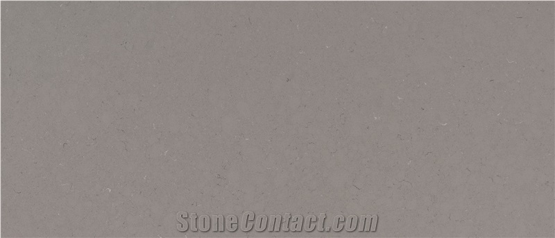 Zhong De Fossil Grey Quartz Stone