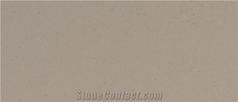 Zhong De Fossil Taupe Quartz Stone