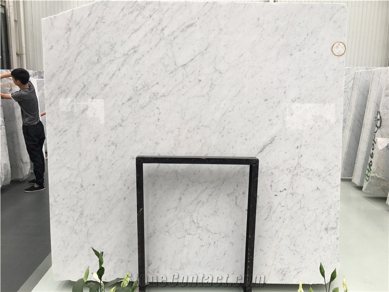 Italian Bianco Carrara White Marble Slab