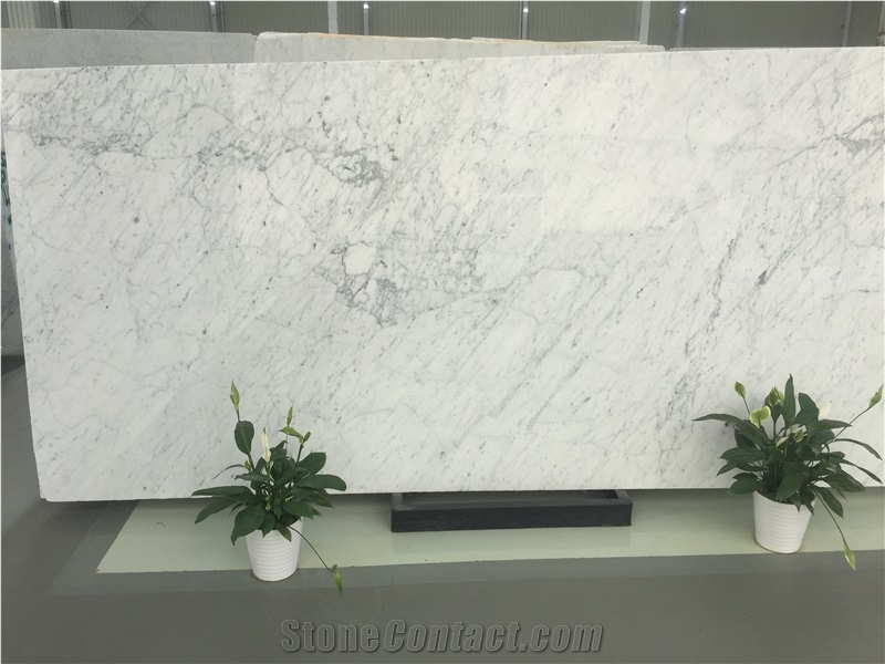 Bianco Carrara Marble for Wall Cladding