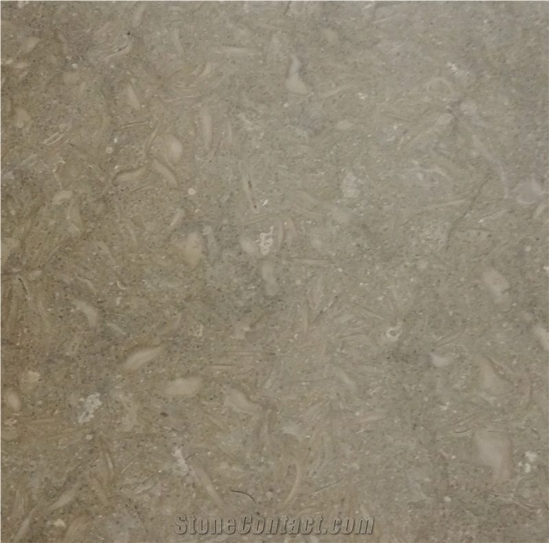 Seagrass Rustic Green Limestone Tiles from Turkey - StoneContact.com