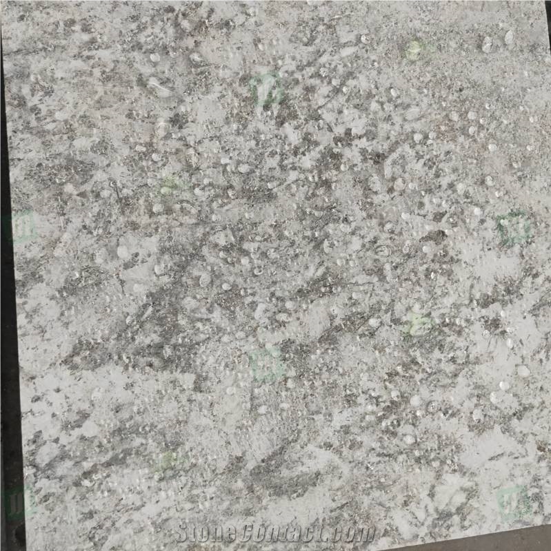 Snow Mountain Silver Fox Granite Floor Tiles