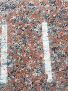 G562 Maple Red Granite Polished Tiles