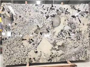 Virgin White Quartzite Slab for Kitchen Countertop