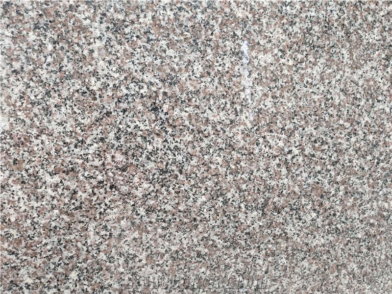 New G664 Pink Granite Slabs from Xiamen