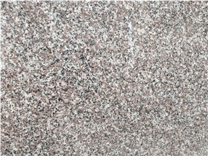 New G664 Pink Granite Slabs from Xiamen