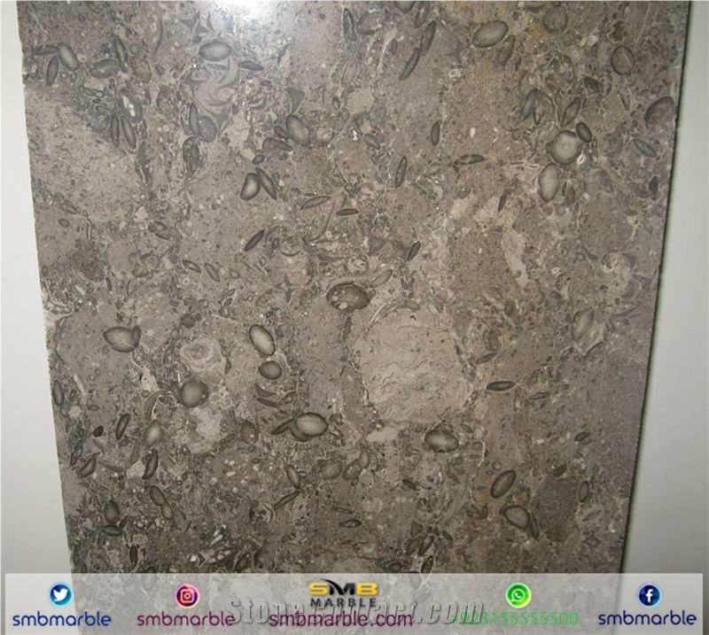 Oceanic Gray Limestone Slabs & Tiles