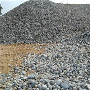 Grey Colour Pebble Stone, Washed Pebbles