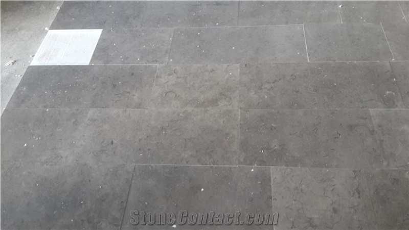 Milly Grey Fossils Slabs & Tiles