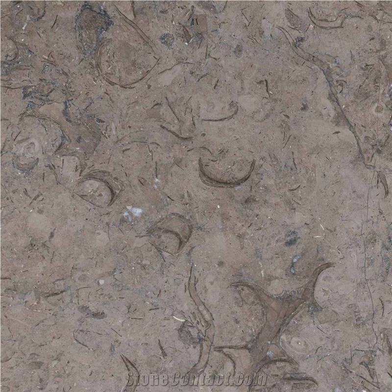 Milly Grey Fossils Slabs & Tiles
