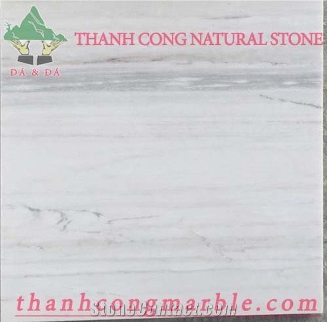 Vietnam White Vein Marble