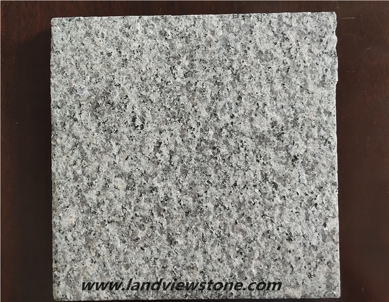G623 Sesame Light Silvery Gray Granite Tiles