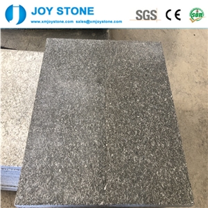 Factory Price New G684 Granite Stone Tiles