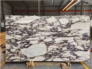 Italy Marble Stone for Wall and Floor
