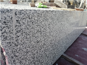 Hallayeb Granite Slabs, Bianco Halayeb Granite
