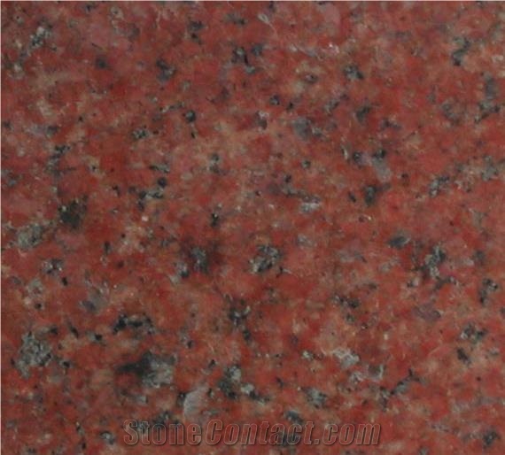 Red Sphinx Granite Slabs, Red Sphynx Granite Slabs & Tiles