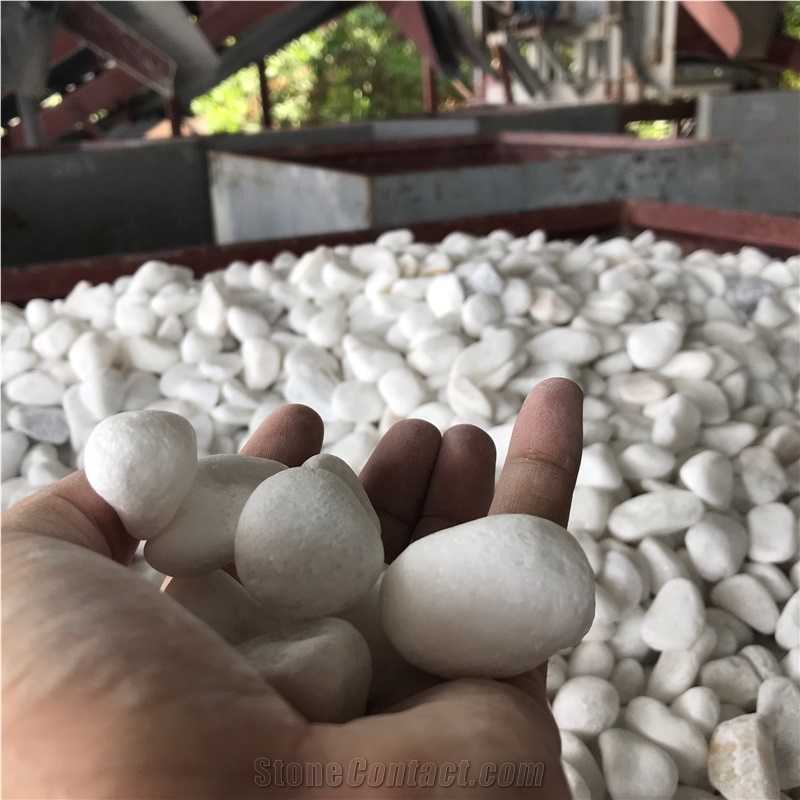 Vietnam Snow White Pebble Stone for Landscape
