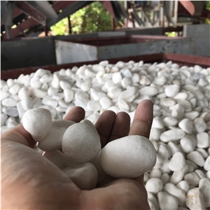 Vietnam Snow White Pebble Stone for Landscape