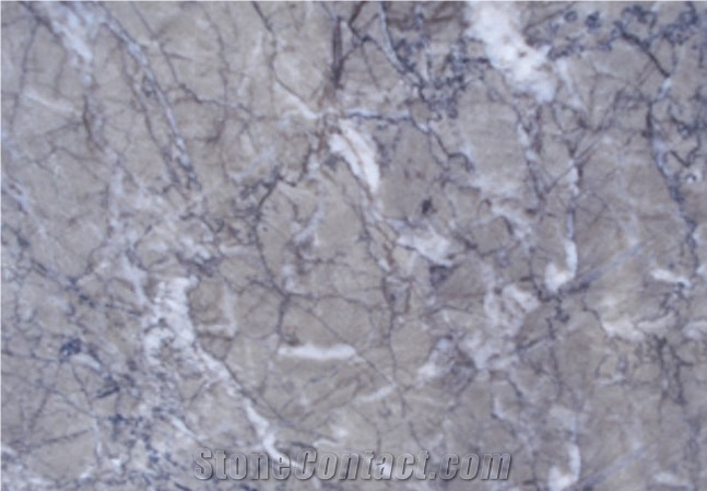 Premium Light Grey Lido Marble Slab Tile Wholesale