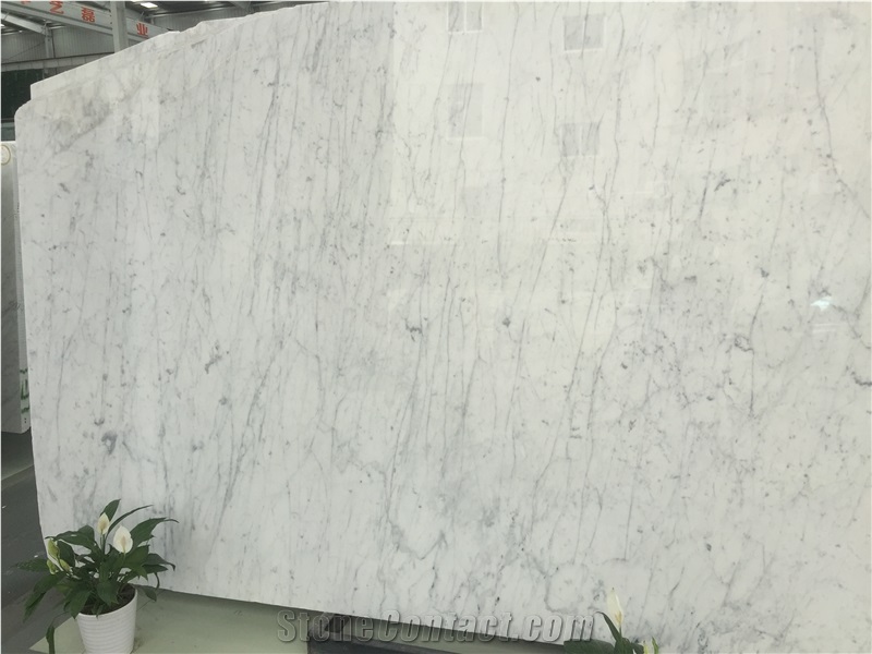 Bianco Carrara Marble for Wall and Floor Tile
