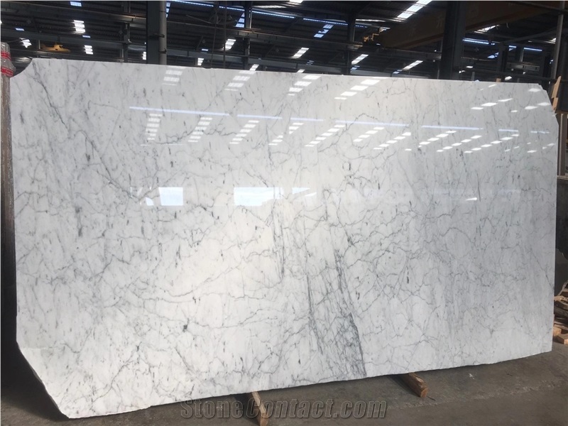 Bianco Carrara Marble Slab for Floor Covering