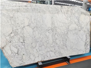 Calacatta Galileo Marble for Wall and Floor Tile