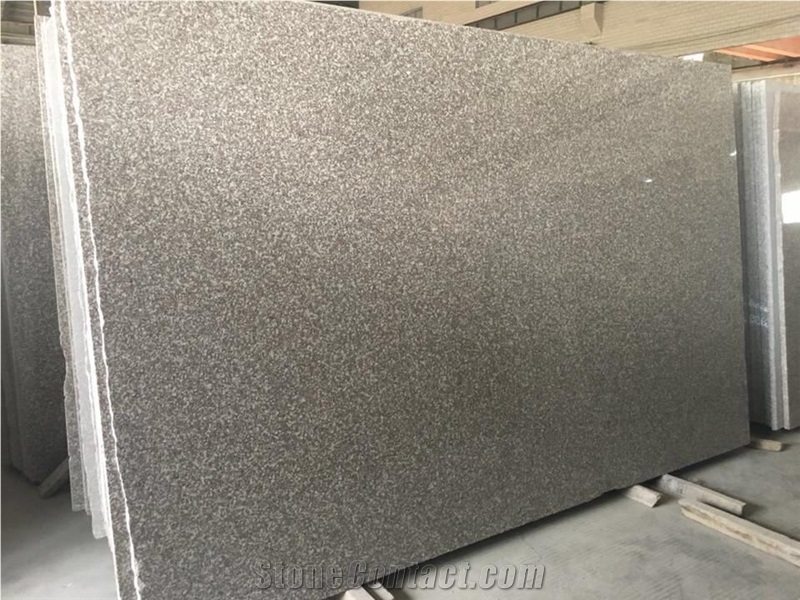 G664 Granite for Kitchen Countertop/Floor Tile