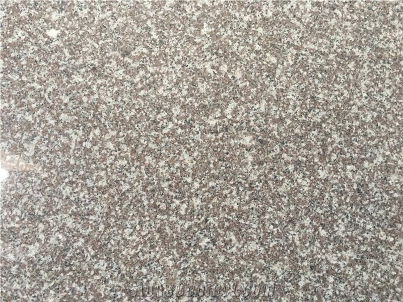G664 Granite for Kitchen Countertop/Floor Tile