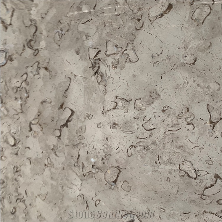 Cheap Polished Moon Grey Marble Floor Tile