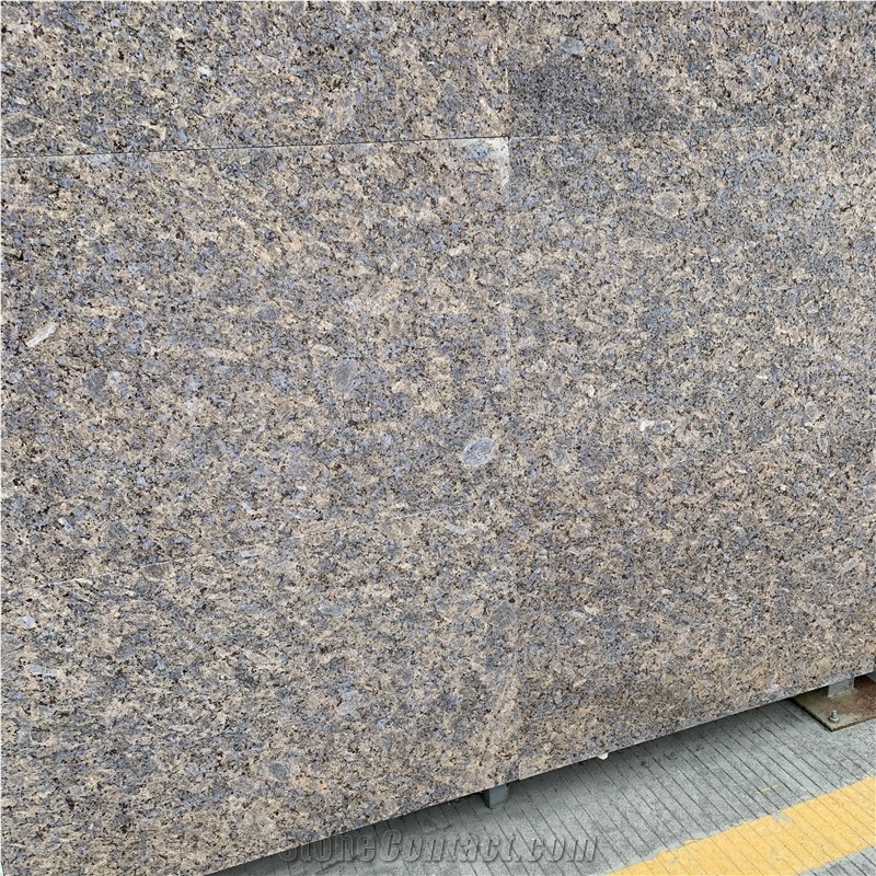 Eurasian Gold Grey Polished Granite Slab