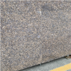 Eurasian Gold Grey Polished Granite Slab