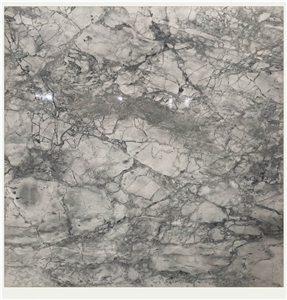 Italy Calacatta Grey Marble For Residential