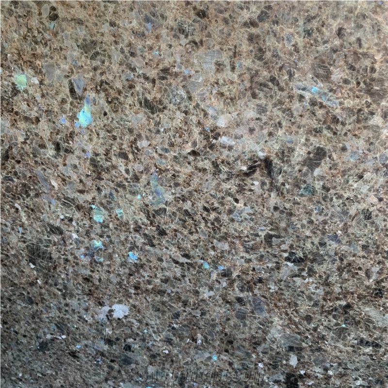 Labrador Antico Brown Granite Slab Indoor Outdoor