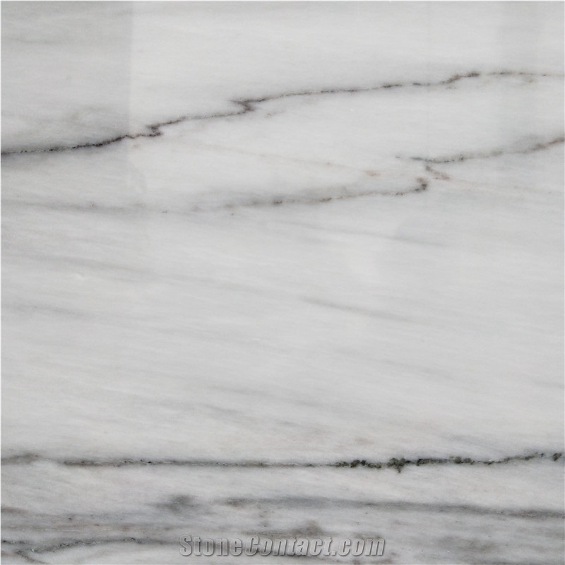 Legant Swan White Marble with Black Veins Stone