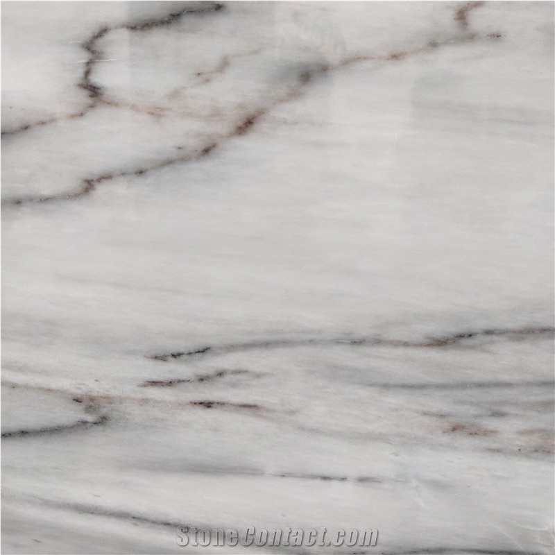 Legant Swan White Marble with Black Veins Stone
