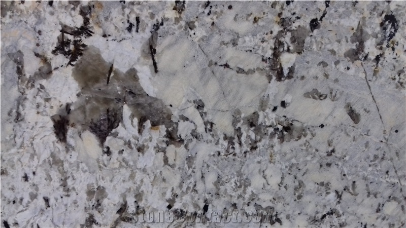 Albany White Granite Slabs & Tiles, White Granite