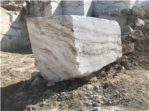 Calacatta Tarahumara Marble Blocks, Mexico White Marble