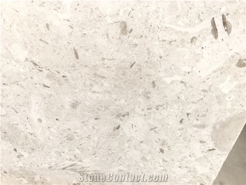 White Beige Mushroom Seashell Limestone Slabs