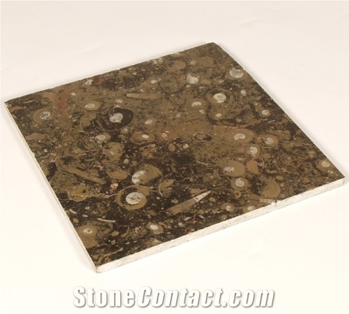 Pietra Di Erfoud Fossilized Brown Marble Tiles
