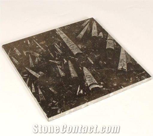 Pietra Di Erfoud Fossilized Brown Marble Tiles