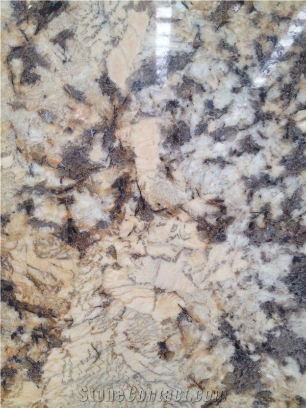 Pisa Gold Granite Kitchen Slabs & Tiles