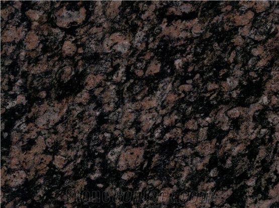 New Tan Brown Granite Slabs