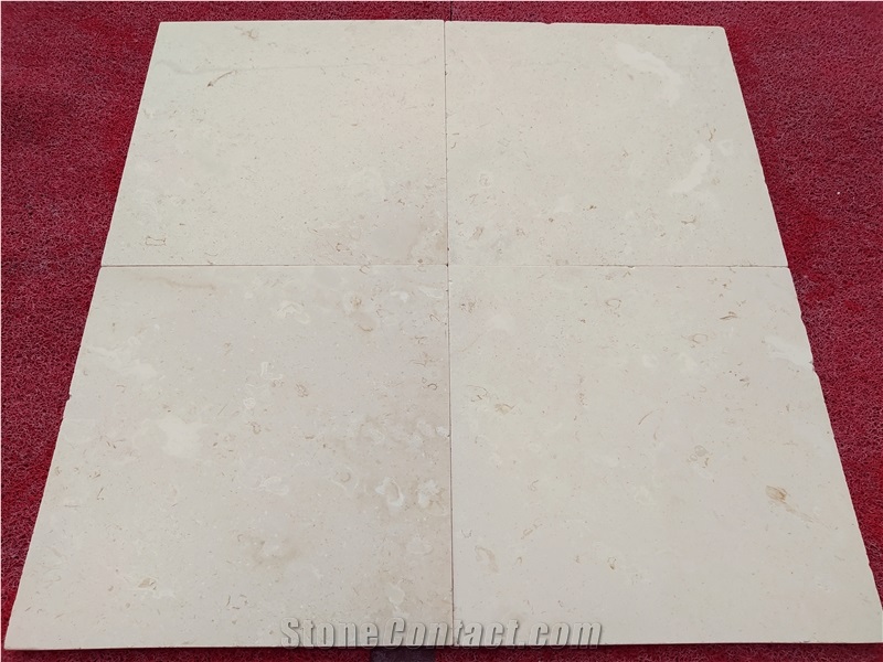 Shellstone Tiles 1.25x24"X24" Tumbled