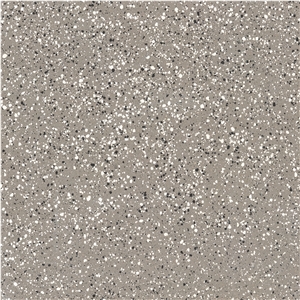 Honed Cream Terrazzo Tile Granite Look Floor Pattern Paving