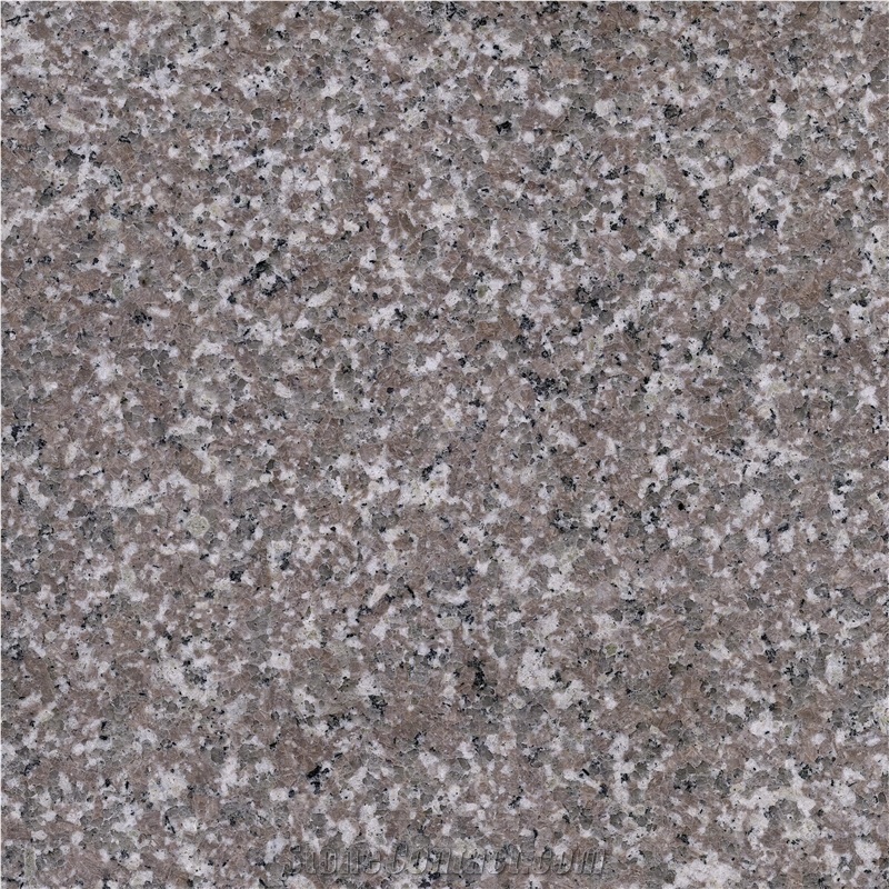 Honed New G664 Granite Tile Exterior Garden Floor