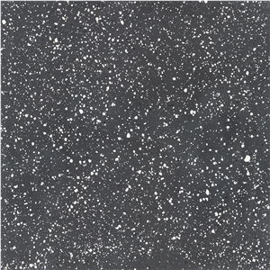 Honed Snow White in Black Commercial Project Floor Terrazzo Tile