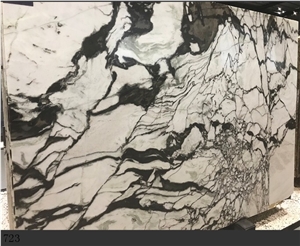 Ink White Marble Landscape Stone Slabs Black Vein